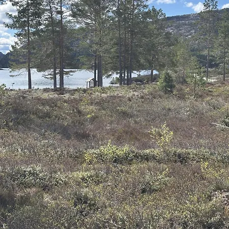 Nisserstrand Mit Wlan Und Sauna Direkt Am 別荘 Treungen